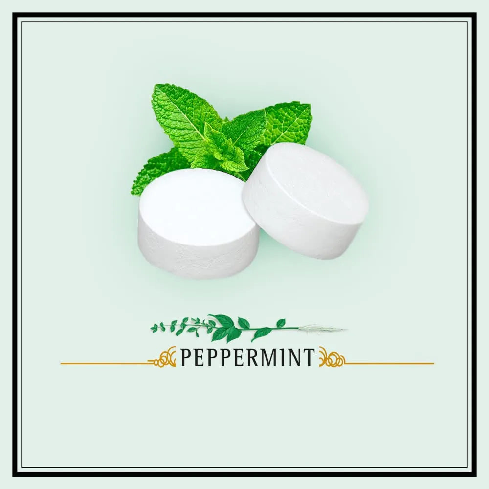 06 Altoids Peppermint - Pastilhas Importadas 50g