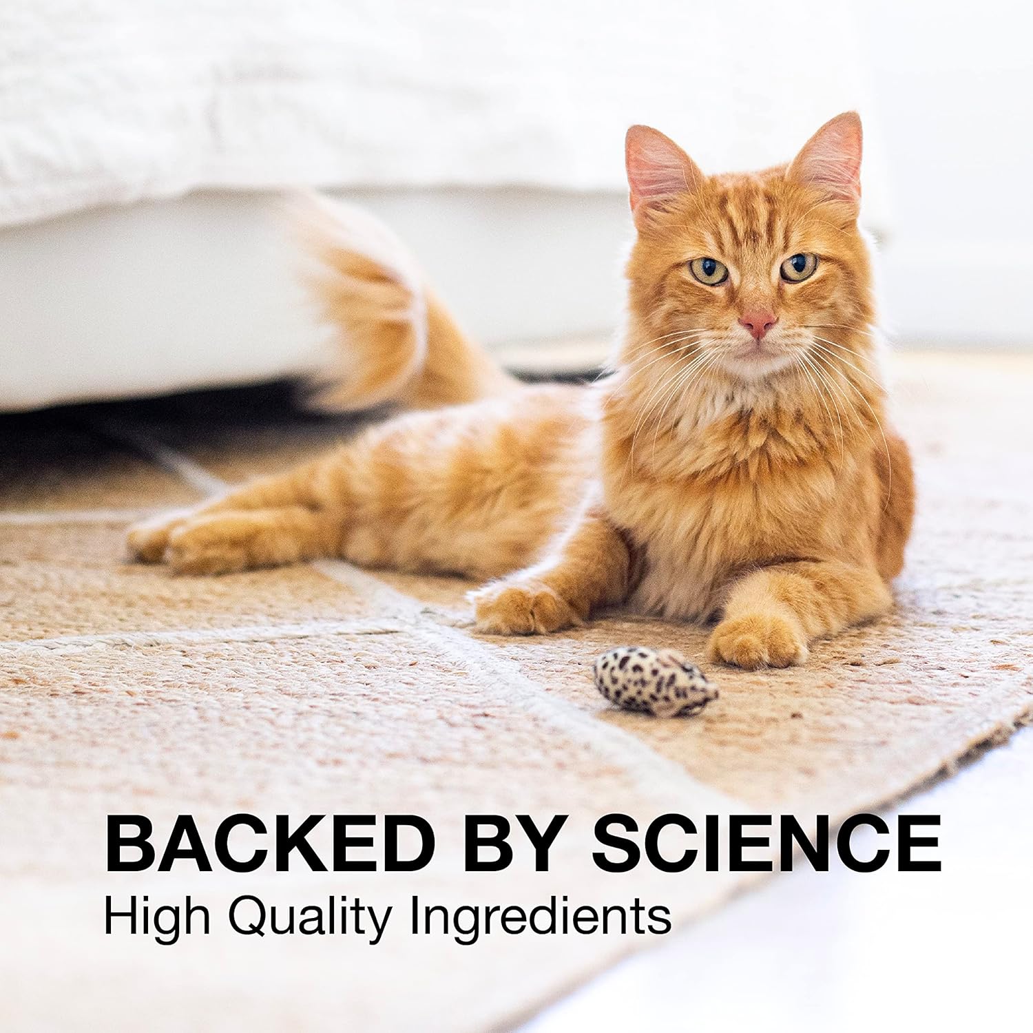 Denosyl Nutramax 90mg Cães E Gatos 30 Tabletes - Importado