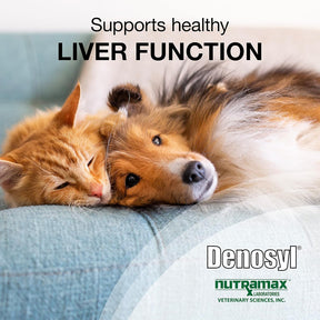 Denosyl Nutramax 90mg Cães E Gatos 30 Tabletes - Importado