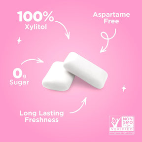 Pur Goma De Mascar Natural Sem Açúcar C/ Xilitol Vegano 77g