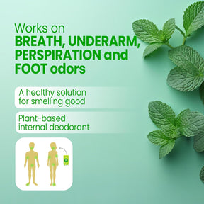 Body Mint Original Desodorante Interno 50 Caps Bodymint