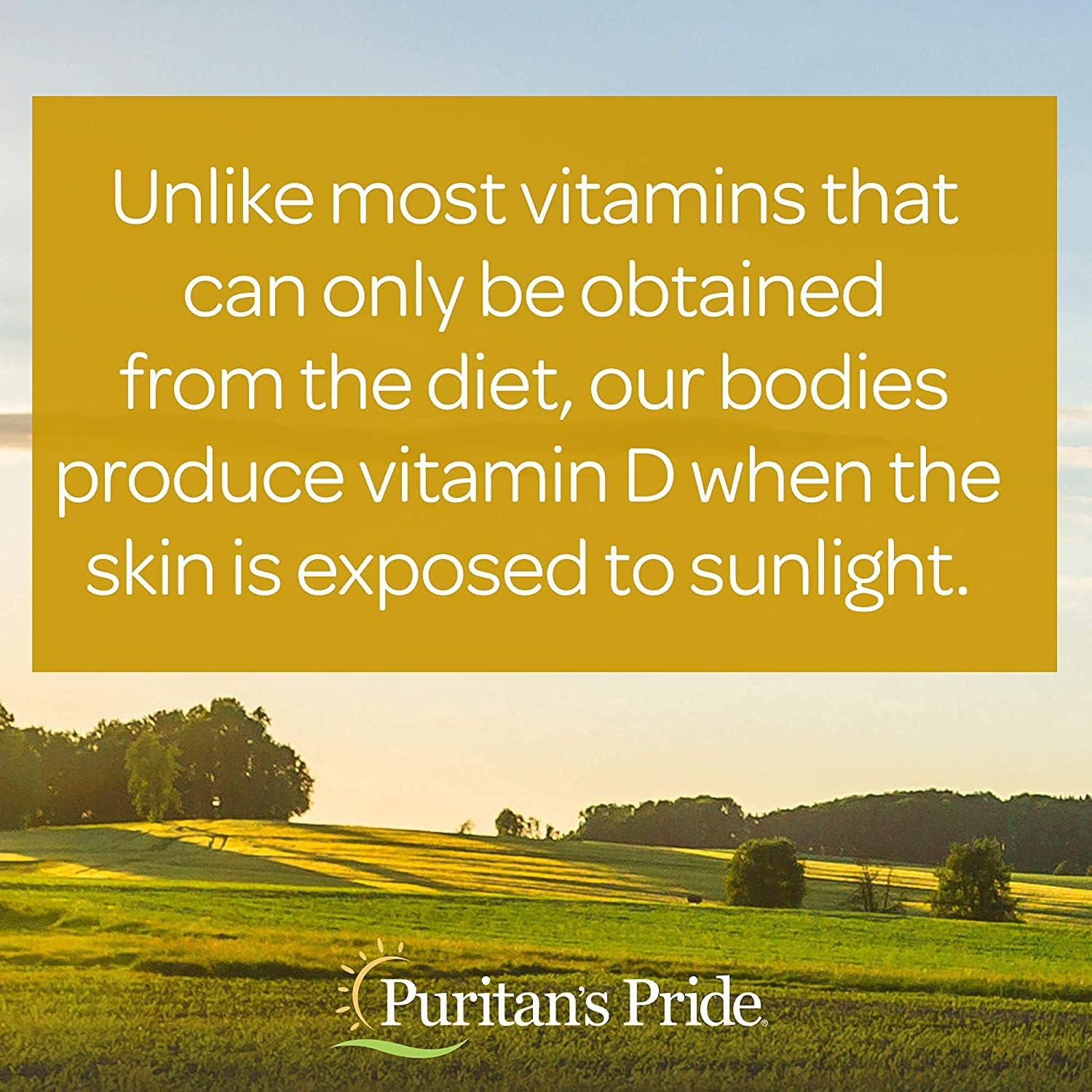 Puritan's Pride - Vitamina D3 10.000 Ui - 100 Softgels EUA
