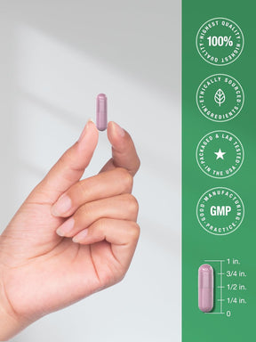 Beterraba em Pó da Horbäach 2000mg - 200Capsulas